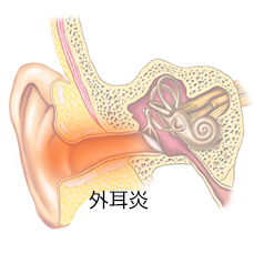 入り口 痛い の 耳 が 顎関節症で耳が痛い原因とその対処法